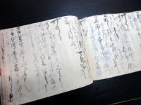 和本文政11年（1828）古記録「日記」1冊