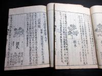 和本江戸期事典植物図鑑「和漢三才図会」2冊
