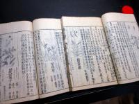 和本江戸期事典植物図鑑「和漢三才図会」2冊
