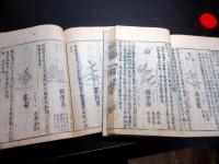 和本江戸期事典植物図鑑「和漢三才図会」2冊