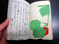 和本明治期艶本「婦美の林」1冊