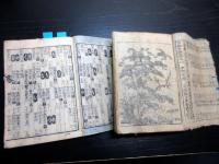 和本江戸安政5年（1858）名鑑「安政武鑑」3冊