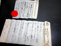 江戸後期～明治期「前橋藩士野村左内/野村左仲関連文書」30点程度