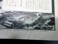 明治27年（1894）古地図鳥瞰図「相陽勝地大山全景之図」1点