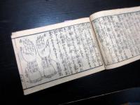 和本江戸期医学「医道日用重宝記（医道日用手引草初編）」1冊