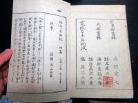 和本寛政11年（1799）読本「絵本太閤記」11冊