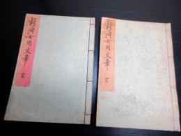 和本明治15年（1882）往来物「新撰女用文章」2冊/口絵大蘇芳年/鮮斎永濯