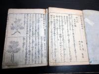 和本江戸享保14年（1729）医学薬学「普救類方」12冊揃い