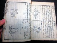 和本江戸享保14年（1729）医学薬学「普救類方」12冊揃い