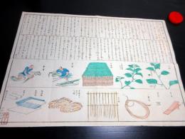 明治5年（1872）「苧麻製法一覧」1点