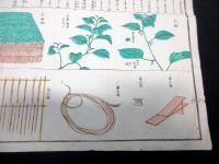 明治5年（1872）「苧麻製法一覧」1点
