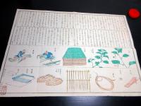 明治5年（1872）「苧麻製法一覧」1点