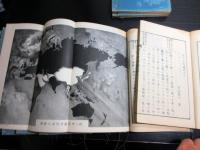 和本明治20～30年政治小説「佳人之奇遇」11冊