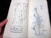 和本江戸弘化5年（1848）花道写本「源氏活花記」1冊