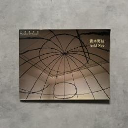 青木野枝 上海美術館 図録