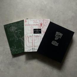 Silvia Minio-Paluello Yasuda: 1934-2000: opere e scritti　シルヴィア・ミニオ＝パルウエルロ・保田作品集