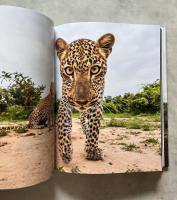 The Black Leopard: My Quest to Photograph One of Africa's Most Elusive Big Cats