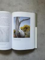 Carr, O'Keeffe, Kahlo: Places of Their Own