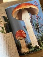 図説快楽植物大全
