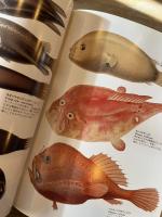 世界大博物図鑑　第二巻　魚類