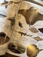 世界大博物図鑑　第二巻　魚類
