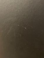 Karl Lagerfeld : fotograf, photographer, photographe