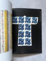 デザイナー芹沢銈介の世界展  生誕120年記念　図録