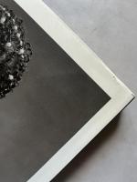 Matthew Rolston(マシュー・ローストン) beautyLight