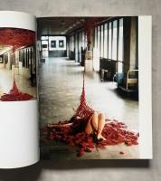 Chiharu Shiota 塩田千春