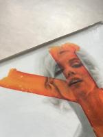 Bert Stern Marilyn Monroe  The Complete Last Sitting