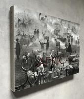 Africa  Sebastião Salgado