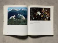 Wisdom of the Elders: Native Traditions on the Northwest