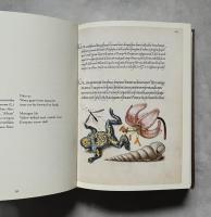 Mira Calligraphiae Monumenta: A Sixteenth-Century Calligraphic Manuscript