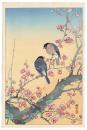 梅花に鶯