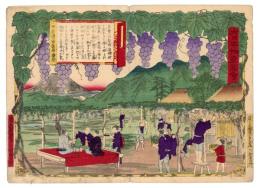 大日本物産圖會　甲斐国葡萄培養図