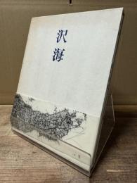 沢海
