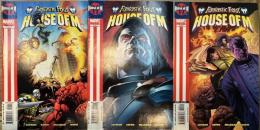 Fantastic Four House of M #1～3 set