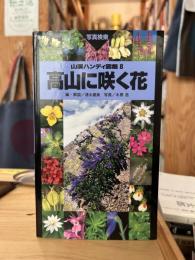 高山に咲く花