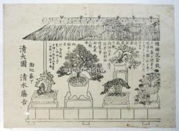 駒込薮下 清大園 盆栽売出し刷物