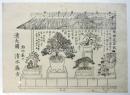 駒込薮下 清大園 盆栽売出し刷物