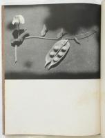 花と裸婦と　福田勝治写真集