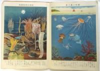 水産大画報　少女倶楽部九月号附録