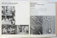 （露文）日本映画への招待　「女舞」解説共