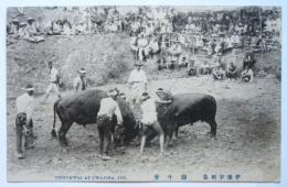 伊予宇和島 闘牛會 絵葉書