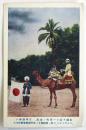 絵葉書〈駱駝背上ノ世界探検家菅野力夫〉