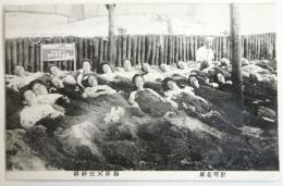 絵葉書〈別府名所 海岸天然砂湯〉