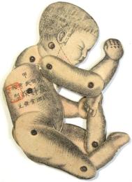 柴田氏考案 産科模型 甲　1点