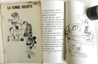 （英文）鞭打 Spanking 小説　6種