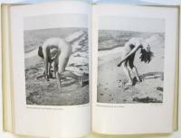 Die Schönheit deines Köpers