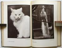 DAS SCHÖNE TIER（独文写真集・美しい動物）